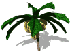 banaani animoituja-kuvia-gif